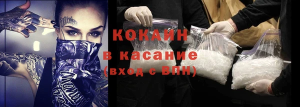 индика Аркадак
