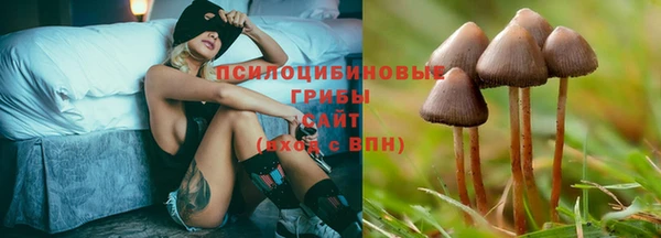 дмт Нязепетровск