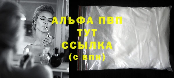 индика Аркадак