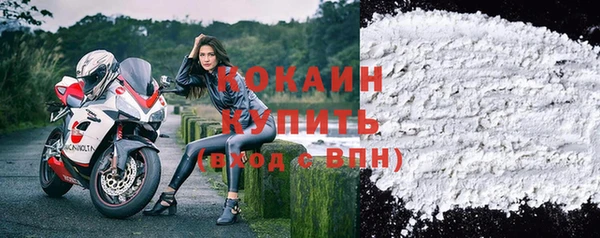 индика Аркадак