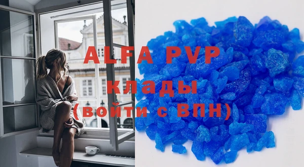 индика Аркадак