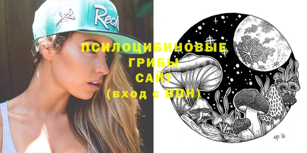 Альфа ПВП Армянск