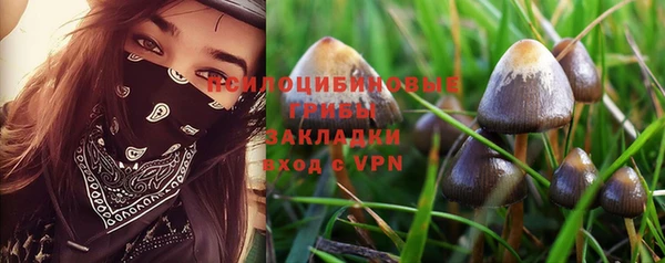 Альфа ПВП Армянск