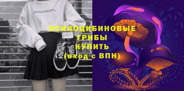 Альфа ПВП Армянск