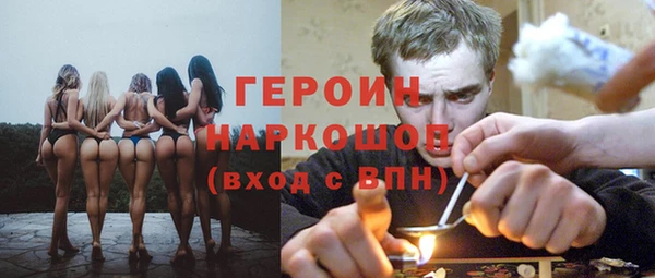 индика Аркадак